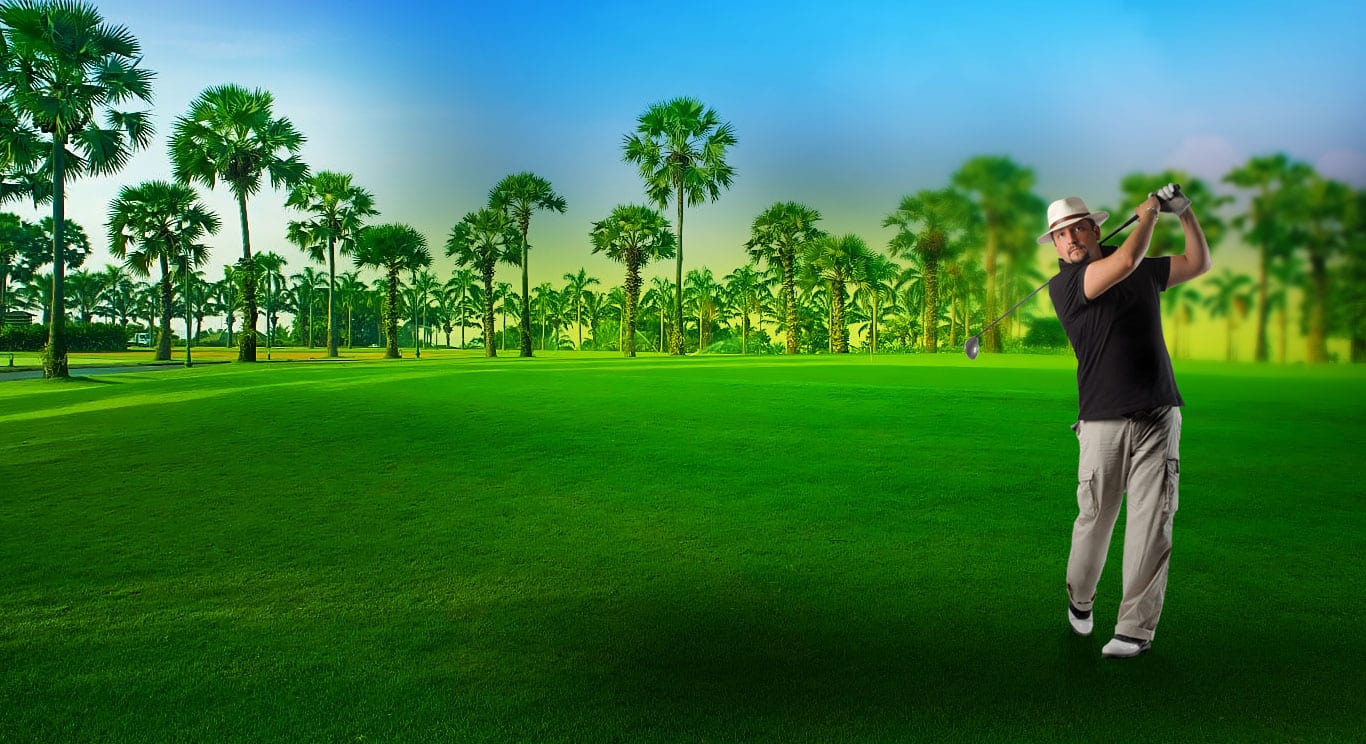 龙城 · 棕榈球道全景